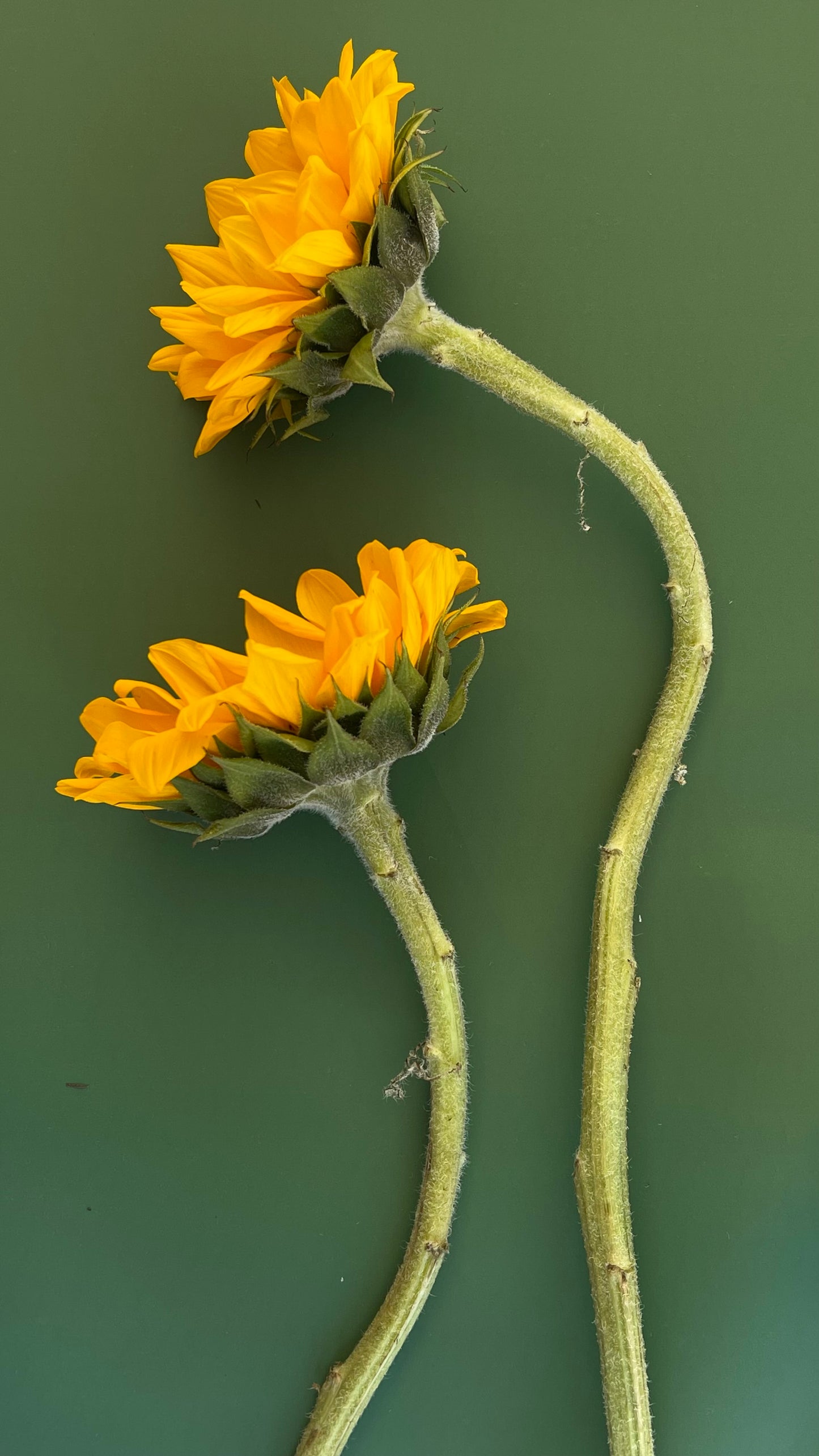 Small Bouquet